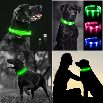Collier de chien lumineux avec chargeur Usb, avec pendentif, lumière Led de luxe détachable, lumineux pour petits chiens et chats, collier de sécurité de nuit, vente en gros