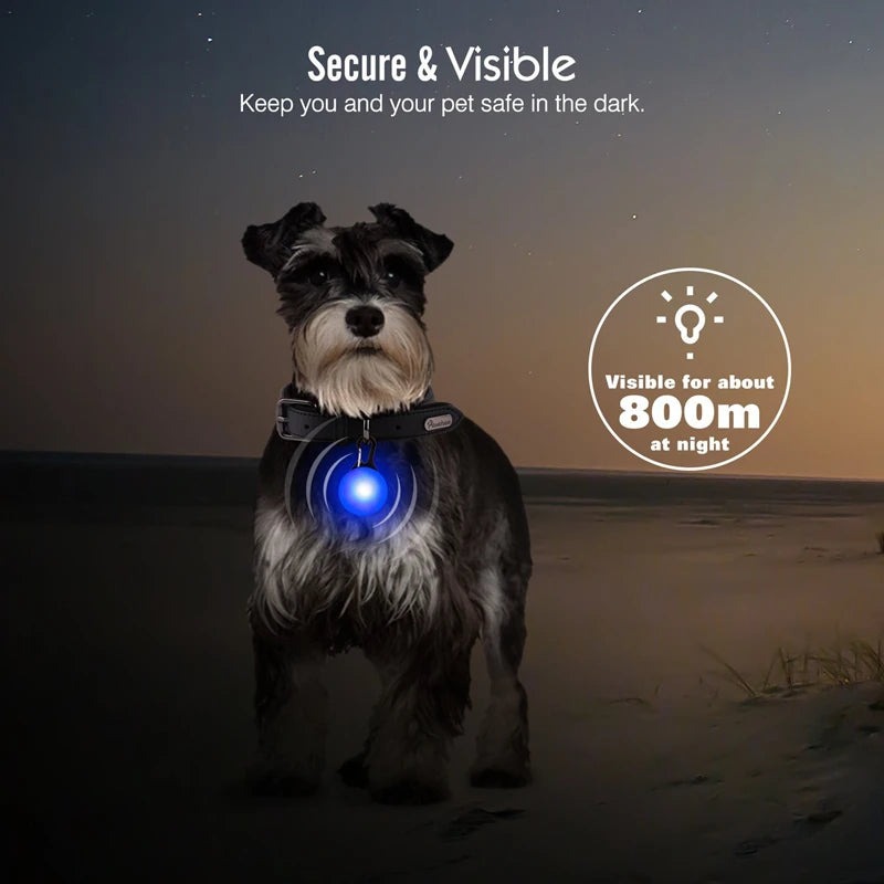 Collier de chien lumineux avec chargeur Usb, avec pendentif, lumière Led de luxe détachable, lumineux pour petits chiens et chats, collier de sécurité de nuit, vente en gros