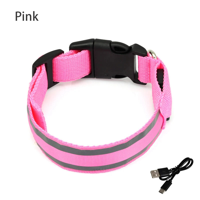 Collier de chien réfléchissant lumineux nuit sécurité USB Rechargeable LED collier de chien lumière pour petits chiens chat collier pour animaux de compagnie Para Perro XS-XL