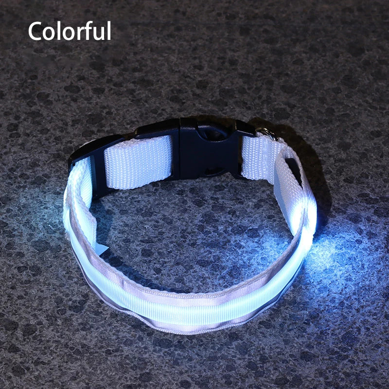 Collier de chien réfléchissant lumineux nuit sécurité USB Rechargeable LED collier de chien lumière pour petits chiens chat collier pour animaux de compagnie Para Perro XS-XL