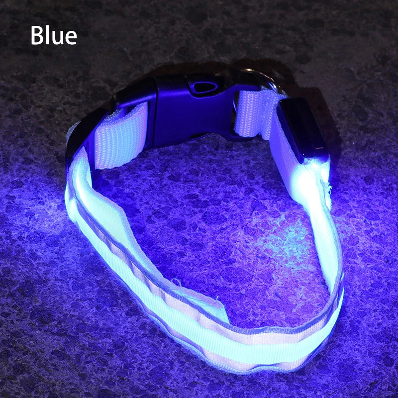 Collier de chien réfléchissant lumineux nuit sécurité USB Rechargeable LED collier de chien lumière pour petits chiens chat collier pour animaux de compagnie Para Perro XS-XL