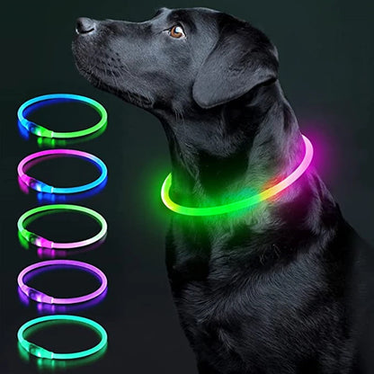 Collier de chien lumineux Led, collier de chargement USB, clignotant, bricolage, sécurité lumineuse, Anti-perte, collier pour chiens et chats, accessoires et fournitures
