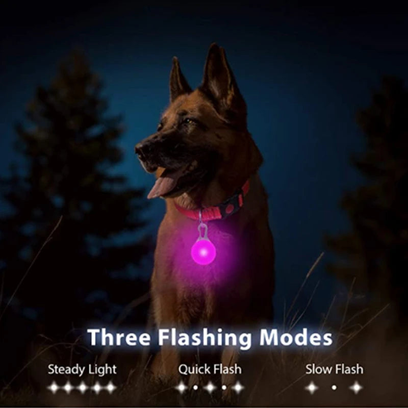 Collier de chien lumineux avec chargeur Usb, avec pendentif, lumière Led de luxe détachable, lumineux pour petits chiens et chats, collier de sécurité de nuit, vente en gros