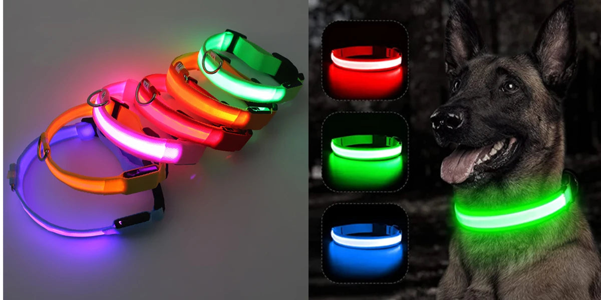 Collier de chien lumineux avec chargeur Usb, avec pendentif, lumière Led de luxe détachable, lumineux pour petits chiens et chats, collier de sécurité de nuit, vente en gros