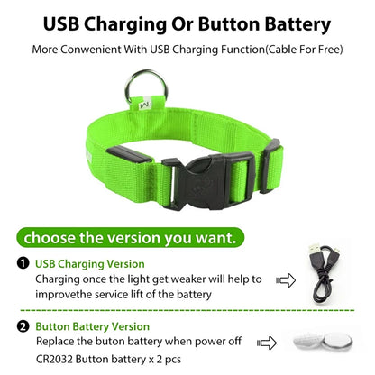 Collier de chien lumineux avec chargeur Usb, avec pendentif, lumière Led de luxe détachable, lumineux pour petits chiens et chats, collier de sécurité de nuit, vente en gros