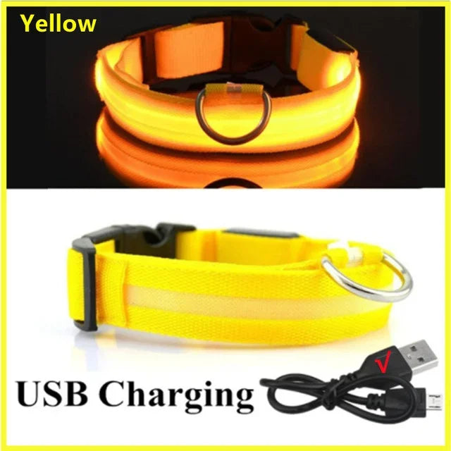 Collier de chien lumineux LED réglable clignotant Rechargea collier lumineux nuit Anti-perte harnais de lumière pour chien pour petits chiens produits pour animaux de compagnie