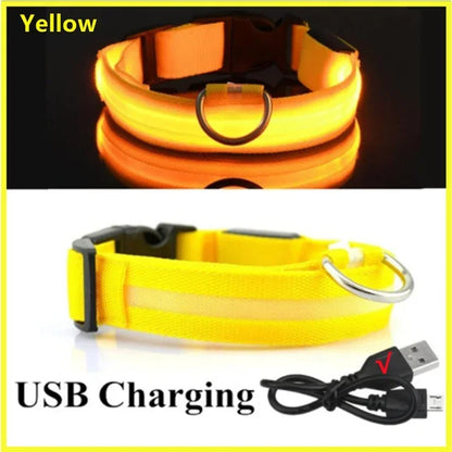 Collier de chien lumineux LED réglable clignotant Rechargea collier lumineux nuit Anti-perte harnais de lumière pour chien pour petits chiens produits pour animaux de compagnie