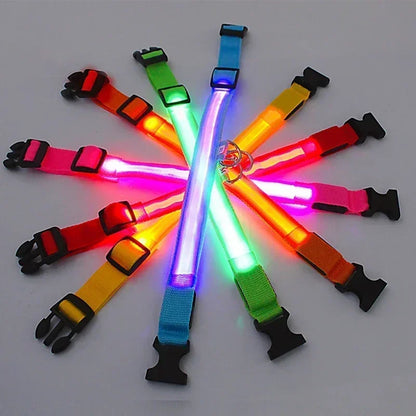 Collier de chien lumineux LED réglable clignotant Rechargea collier lumineux nuit Anti-perte harnais de lumière pour chien pour petits chiens produits pour animaux de compagnie