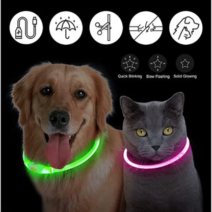Collier de chien lumineux Led, collier de chargement USB, clignotant, bricolage, sécurité lumineuse, Anti-perte, collier pour chiens et chats, accessoires et fournitures