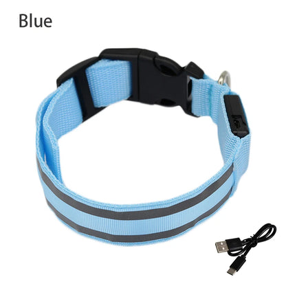 Collier de chien réfléchissant lumineux nuit sécurité USB Rechargeable LED collier de chien lumière pour petits chiens chat collier pour animaux de compagnie Para Perro XS-XL