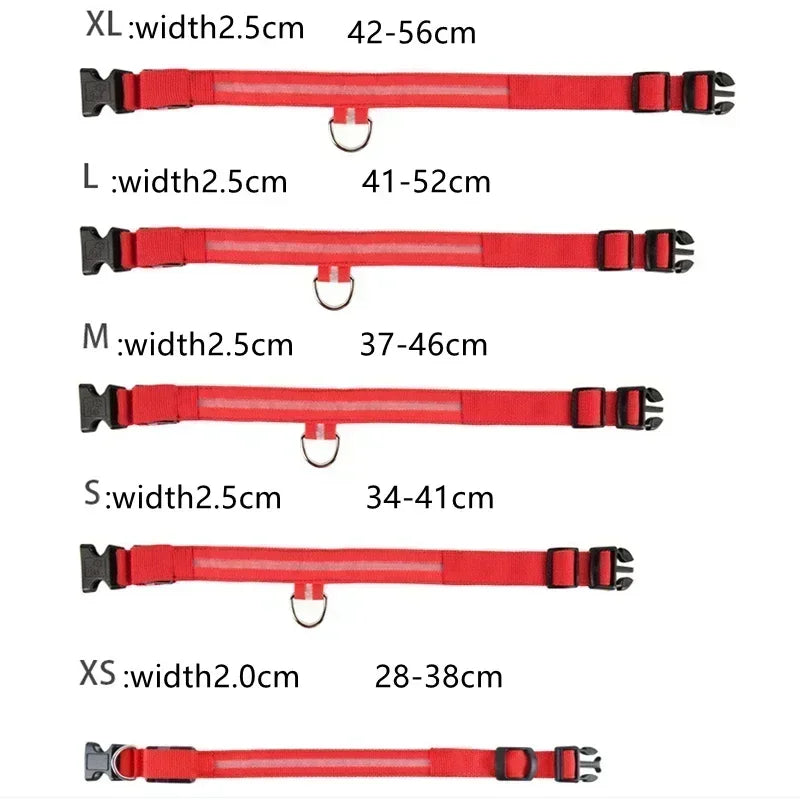 Collier de chien lumineux LED réglable clignotant Rechargea collier lumineux nuit Anti-perte harnais de lumière pour chien pour petits chiens produits pour animaux de compagnie