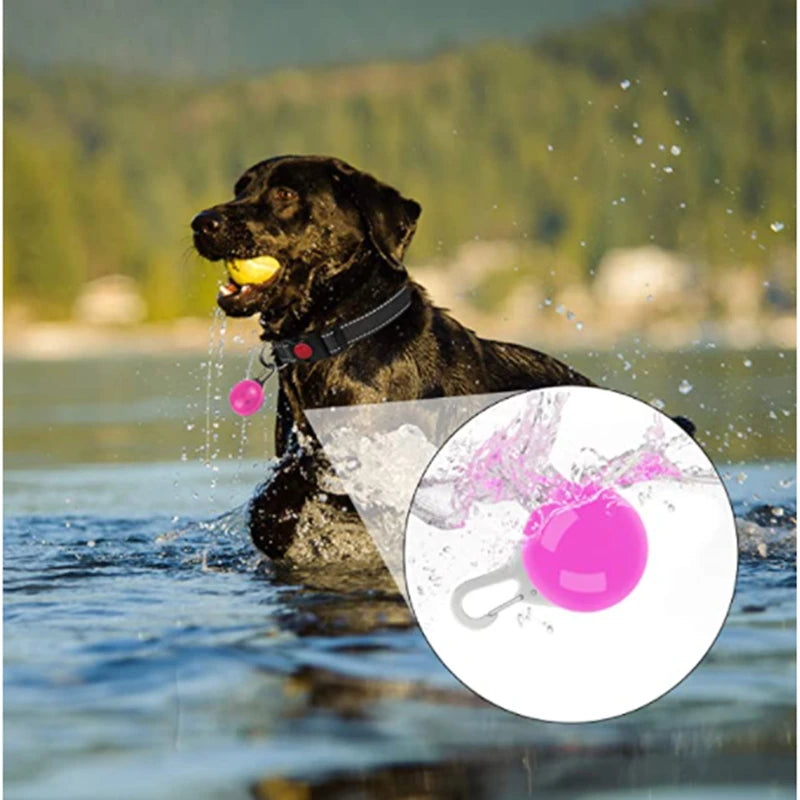 Collier de chien lumineux avec chargeur Usb, avec pendentif, lumière Led de luxe détachable, lumineux pour petits chiens et chats, collier de sécurité de nuit, vente en gros
