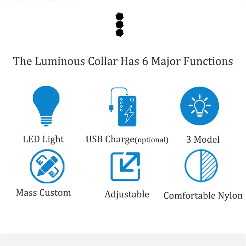 Collier de chien réfléchissant lumineux nuit sécurité USB Rechargeable LED collier de chien lumière pour petits chiens chat collier pour animaux de compagnie Para Perro XS-XL