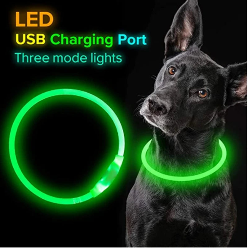 Collier de chien lumineux Led, collier de chargement USB, clignotant, bricolage, sécurité lumineuse, Anti-perte, collier pour chiens et chats, accessoires et fournitures