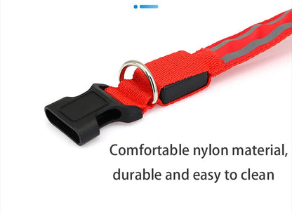 Collier de chien réfléchissant lumineux nuit sécurité USB Rechargeable LED collier de chien lumière pour petits chiens chat collier pour animaux de compagnie Para Perro XS-XL