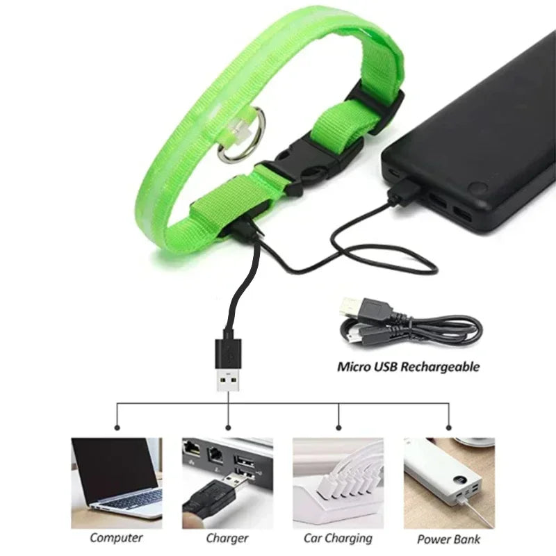 Collier de chien lumineux LED réglable clignotant Rechargea collier lumineux nuit Anti-perte harnais de lumière pour chien pour petits chiens produits pour animaux de compagnie