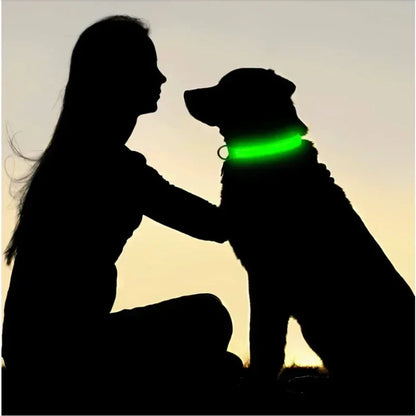 Collier de chien lumineux LED réglable clignotant Rechargea collier lumineux nuit Anti-perte harnais de lumière pour chien pour petits chiens produits pour animaux de compagnie