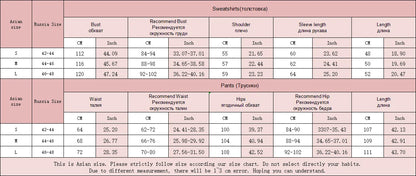 Women Tracksuits Winter Fleece Sweatsuit Brown Warm Crop Zipper Hoodies And Sweatpants Set For Women 2 Piece Velvet Pants Sets