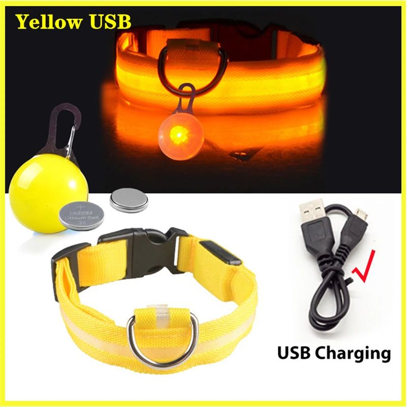 Collier de chien lumineux avec chargeur Usb, avec pendentif, lumière Led de luxe détachable, lumineux pour petits chiens et chats, collier de sécurité de nuit, vente en gros