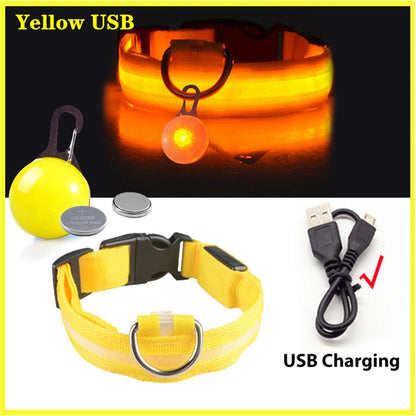 Collier de chien lumineux avec chargeur Usb, avec pendentif, lumière Led de luxe détachable, lumineux pour petits chiens et chats, collier de sécurité de nuit, vente en gros