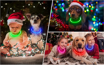 Collier de chien lumineux Led, collier de chargement USB, clignotant, bricolage, sécurité lumineuse, Anti-perte, collier pour chiens et chats, accessoires et fournitures