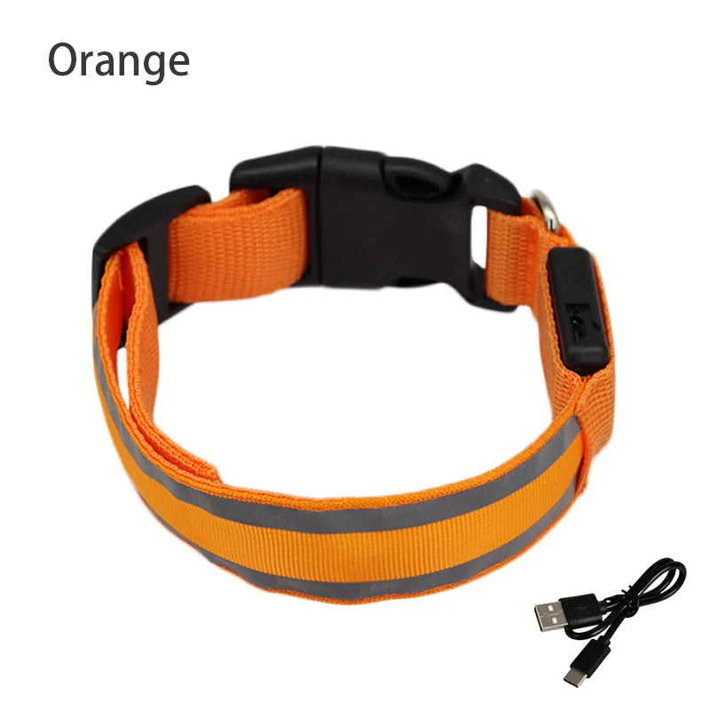 Collier de chien réfléchissant lumineux nuit sécurité USB Rechargeable LED collier de chien lumière pour petits chiens chat collier pour animaux de compagnie Para Perro XS-XL