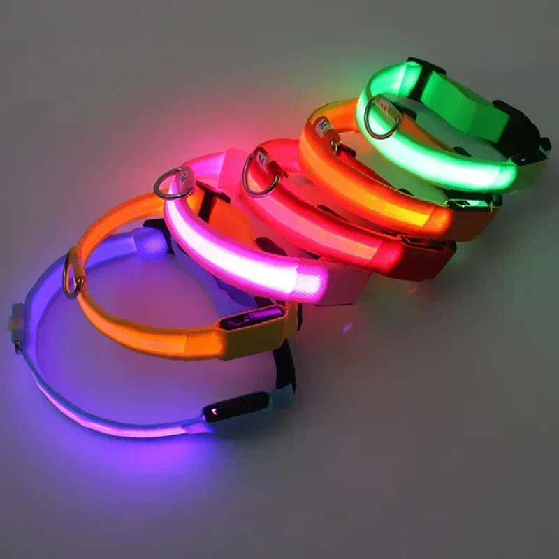 Collier de chien lumineux LED réglable clignotant Rechargea collier lumineux nuit Anti-perte harnais de lumière pour chien pour petits chiens produits pour animaux de compagnie