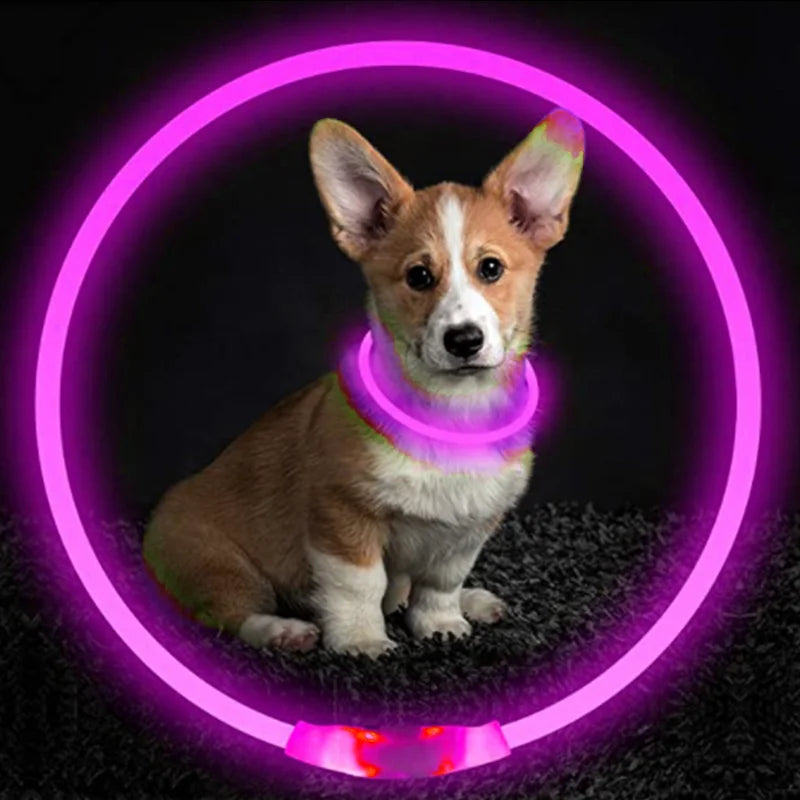 Collier de chien lumineux Led, collier de chargement USB, clignotant, bricolage, sécurité lumineuse, Anti-perte, collier pour chiens et chats, accessoires et fournitures