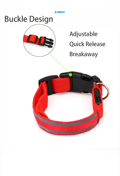 Collier de chien réfléchissant lumineux nuit sécurité USB Rechargeable LED collier de chien lumière pour petits chiens chat collier pour animaux de compagnie Para Perro XS-XL