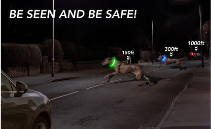 Collier de chien lumineux avec chargeur Usb, avec pendentif, lumière Led de luxe détachable, lumineux pour petits chiens et chats, collier de sécurité de nuit, vente en gros