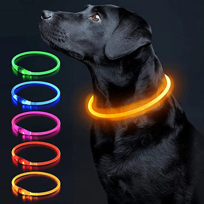 Collier de chien lumineux Led, collier de chargement USB, clignotant, bricolage, sécurité lumineuse, Anti-perte, collier pour chiens et chats, accessoires et fournitures