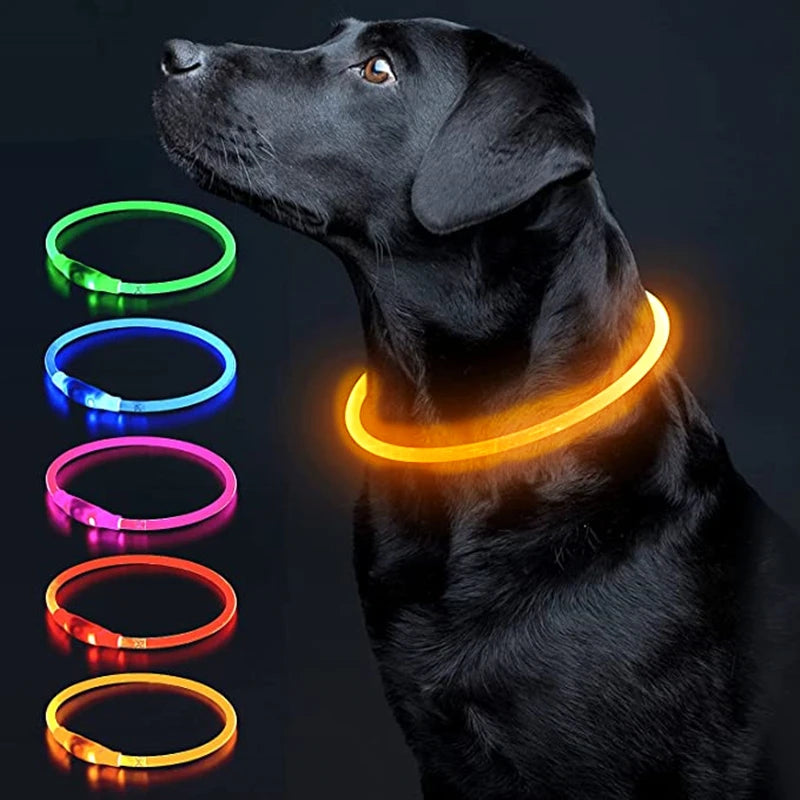 Collier de chien lumineux Led, collier de chargement USB, clignotant, bricolage, sécurité lumineuse, Anti-perte, collier pour chiens et chats, accessoires et fournitures