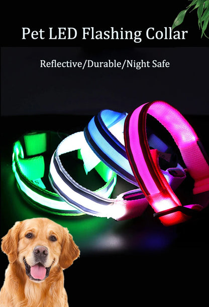 Collier de chien réfléchissant lumineux nuit sécurité USB Rechargeable LED collier de chien lumière pour petits chiens chat collier pour animaux de compagnie Para Perro XS-XL