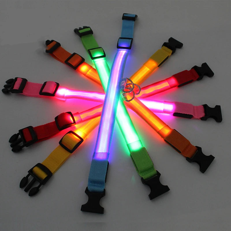 Collier de chien lumineux avec chargeur Usb, avec pendentif, lumière Led de luxe détachable, lumineux pour petits chiens et chats, collier de sécurité de nuit, vente en gros