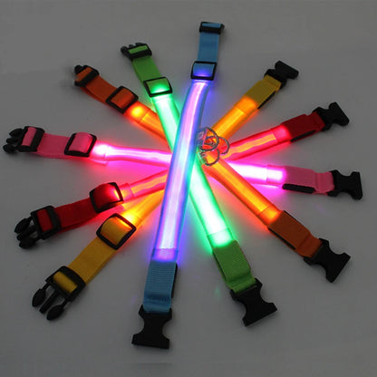 Collier de chien lumineux avec chargeur Usb, avec pendentif, lumière Led de luxe détachable, lumineux pour petits chiens et chats, collier de sécurité de nuit, vente en gros