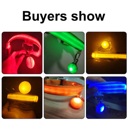 Collier de chien lumineux avec chargeur Usb, avec pendentif, lumière Led de luxe détachable, lumineux pour petits chiens et chats, collier de sécurité de nuit, vente en gros