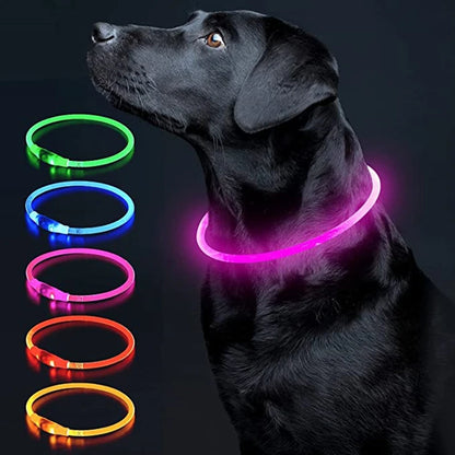 Collier de chien lumineux Led, collier de chargement USB, clignotant, bricolage, sécurité lumineuse, Anti-perte, collier pour chiens et chats, accessoires et fournitures