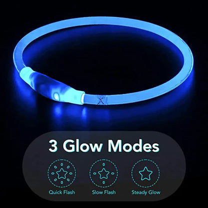 Collier de chien lumineux Led, collier de chargement USB, clignotant, bricolage, sécurité lumineuse, Anti-perte, collier pour chiens et chats, accessoires et fournitures