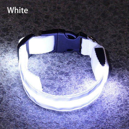 Collier de chien réfléchissant lumineux nuit sécurité USB Rechargeable LED collier de chien lumière pour petits chiens chat collier pour animaux de compagnie Para Perro XS-XL