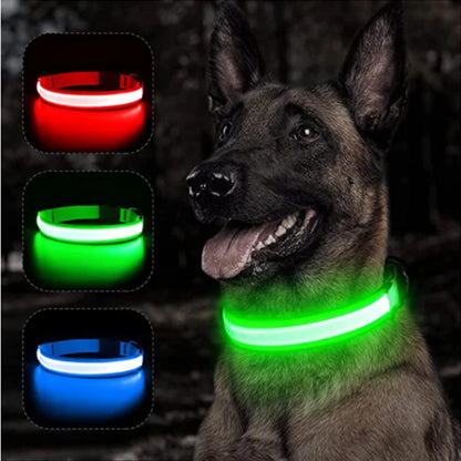 Collier de chien lumineux avec chargeur Usb, avec pendentif, lumière Led de luxe détachable, lumineux pour petits chiens et chats, collier de sécurité de nuit, vente en gros