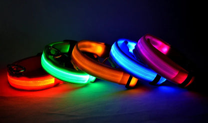 Collier de chien lumineux avec chargeur Usb, avec pendentif, lumière Led de luxe détachable, lumineux pour petits chiens et chats, collier de sécurité de nuit, vente en gros