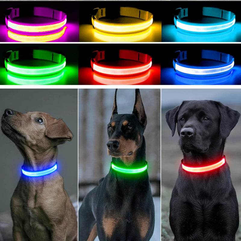 Collier de chien lumineux avec chargeur Usb, avec pendentif, lumière Led de luxe détachable, lumineux pour petits chiens et chats, collier de sécurité de nuit, vente en gros