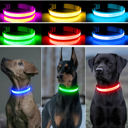 Collier de chien lumineux avec chargeur Usb, avec pendentif, lumière Led de luxe détachable, lumineux pour petits chiens et chats, collier de sécurité de nuit, vente en gros