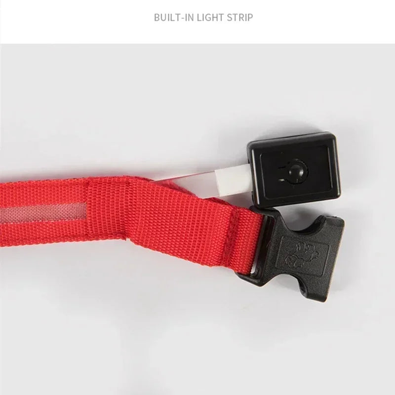 Collier de chien lumineux LED réglable clignotant Rechargea collier lumineux nuit Anti-perte harnais de lumière pour chien pour petits chiens produits pour animaux de compagnie