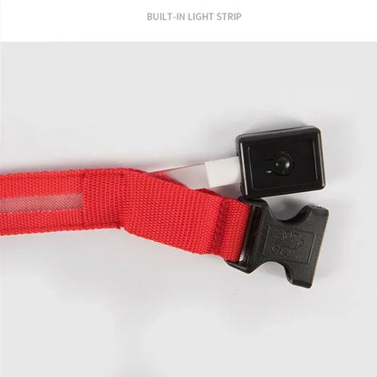 Collier de chien lumineux LED réglable clignotant Rechargea collier lumineux nuit Anti-perte harnais de lumière pour chien pour petits chiens produits pour animaux de compagnie