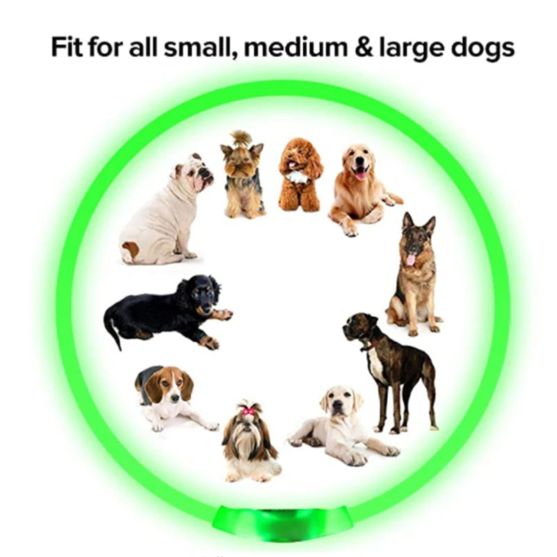 Collier de chien lumineux Led, collier de chargement USB, clignotant, bricolage, sécurité lumineuse, Anti-perte, collier pour chiens et chats, accessoires et fournitures