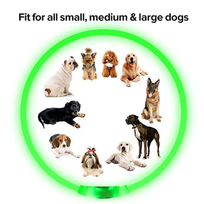 Collier de chien lumineux Led, collier de chargement USB, clignotant, bricolage, sécurité lumineuse, Anti-perte, collier pour chiens et chats, accessoires et fournitures
