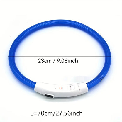 Collier lumineux LED pour chien de compagnie, Anti-perte, Rechargeable par USB