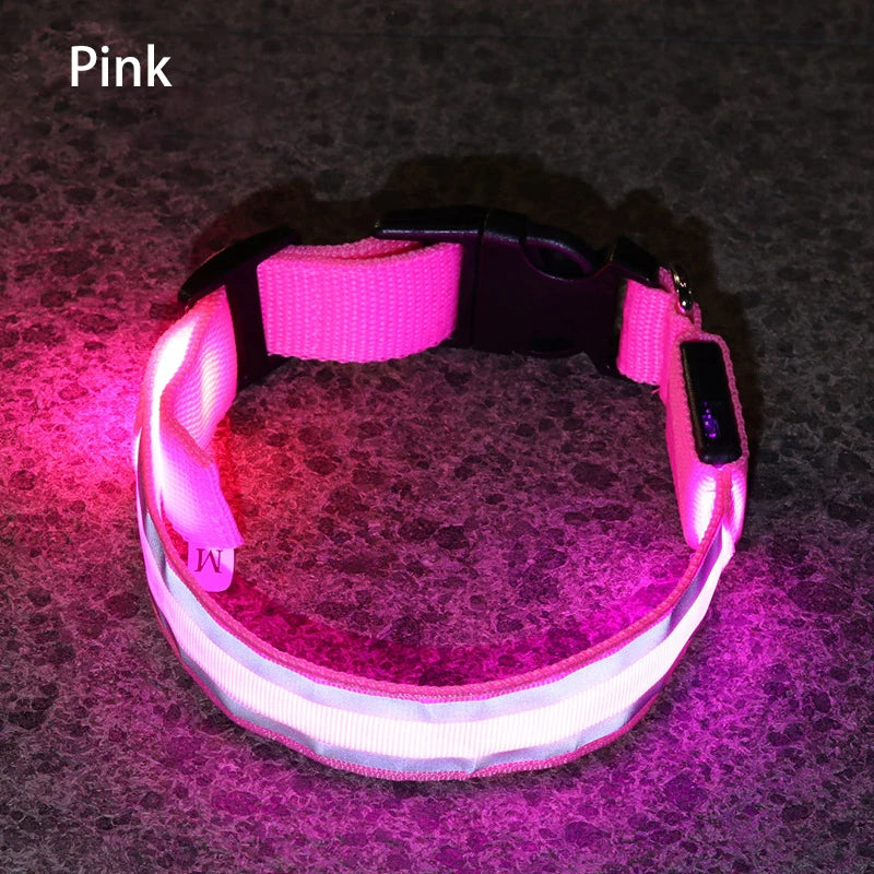 Collier de chien réfléchissant lumineux nuit sécurité USB Rechargeable LED collier de chien lumière pour petits chiens chat collier pour animaux de compagnie Para Perro XS-XL