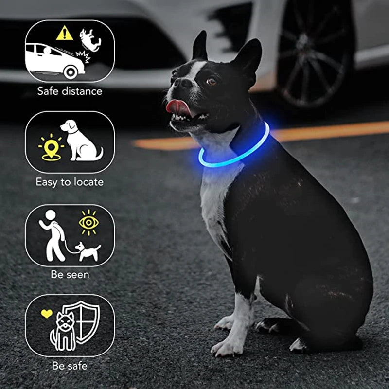 Collier de chien lumineux Led, collier de chargement USB, clignotant, bricolage, sécurité lumineuse, Anti-perte, collier pour chiens et chats, accessoires et fournitures